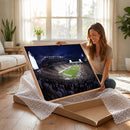 Michigan State Spartans Canvas, Framed Football Team Print -