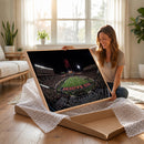 Framed Texas Tech Red Raiders Stadium Canvas, Texas Tech Red