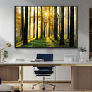 Sunlit Forest Wall Art Canvas Print – Large Framed Woodland