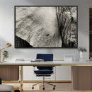 Elephant Wall Art Canvas Print