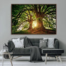 Majestic Ancient Tree Wall Art, NatureCanvas Print, Woodland by MyGreatCanvas | Canvas Wall Art Prints | Photo Prints & Wall Decor