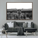 Black and White Highland Cow Canvas Wall Art, Longhorn by MyGreatCanvas | Canvas Wall Art Prints | Photo Prints & Wall Decor