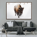 Bison Winter Wall Art Canvas Print For Farmhouse Decor