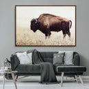 Bison in Field Wall Art Canvas Print For Farmhouse Barn