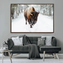 Bison Wall Art Canvas Print For Farmhouse, Animal Canvas