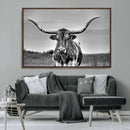 Texas Longhorn Cow Wall Art, Texas Longhorn Canvas, Cattle