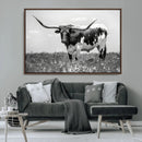 Texas Black White Highland Longhorn Cow Wall Art Canvas by MyGreatCanvas | Canvas Wall Art Prints | Photo Prints & Wall Decor