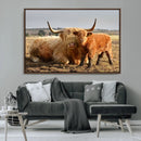 Highland Cow Canvas Wall Art Animal Print for Farm House