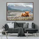 Highland Cow Horn Farm Wall Art Canvas Print