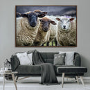 Charming Sheep Portrait Wall Art – Trio of Woolly Companions by MyGreatCanvas | Canvas Wall Art Prints | Photo Prints & Wall Decor