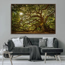 Ancient Angel Oak Tree Art Sunburst Canvas Print-