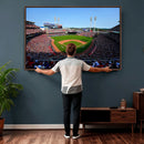 Cincinnati Reds Baseball Canvas Print - American Ball