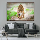 Leopard on the Prowl - Stunning Large Framed Leopard Wall