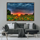 Golden Sunflower Field at Sunset – Breathtaking Sky and