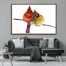 Cardinal Bird Canvas Wall Art - Male and Female Cardinal