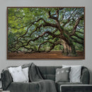 Historic Tree Wall Art – Framed Mossy Branch Canvas Artwork, by MyGreatCanvas | Canvas Wall Art Prints | Photo Prints & Wall Decor