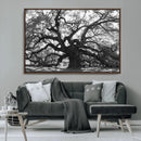 Ancient Oak Wall Art Canvas Print – Gnarled Tree Twisted by MyGreatCanvas | Canvas Wall Art Prints | Photo Prints & Wall Decor