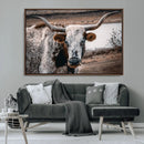 Texas Longhorn Wall Art Canvas Print – Framed Spotted Bull