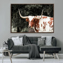 Texas Longhorn Wall Art Canvas Print – Framed Spotted Bull