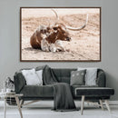 Texas Longhorn Wall Art Canvas Print – Framed Resting Bull by MyGreatCanvas | Canvas Wall Art Prints | Photo Prints & Wall Decor