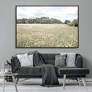 Charming Daisy Field Wall Art Canvas Print – Framed Pastel by MyGreatCanvas | Canvas Wall Art Prints | Photo Prints & Wall Decor