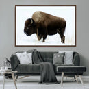 Bison Wall Art Canvas Print – Framed Western Wildlife