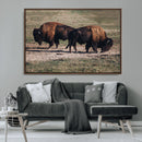 Bison Wall Art Canvas Print – Framed Western Wildlife Modern