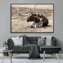 Texas Longhorn Wall Art Canvas Print – Framed Country Living