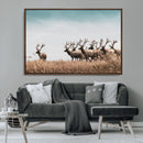Elk Herd Wall Art Canvas Print – Framed Wildlife Photography