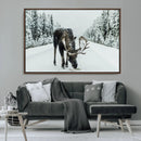 Moose Snow Wall Art Canvas Print – Framed Winter Wildlife