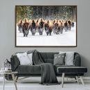 Bison Herd Scene Wall Art Canvas Print – Framed Western by MyGreatCanvas | Canvas Wall Art Prints | Photo Prints & Wall Decor