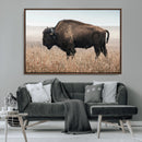 American Bison Wall Art Canvas Print – Majestic Buffalo