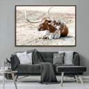 Majestic Longhorn Wall Art Canvas Print – Resting on Sunlit by MyGreatCanvas | Canvas Wall Art Prints | Photo Prints & Wall Decor