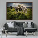 Grazing Cattle Herd Wall Art Canvas Print, Majestic Farm by MyGreatCanvas | Canvas Wall Art Prints | Photo Prints & Wall Decor