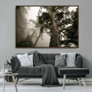 Misty Forest Tall Trees Foggy Atmosphere Nature Serenity by MyGreatCanvas | Canvas Wall Art Prints | Photo Prints & Wall Decor