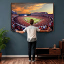 Dooley Stadium Wall Art, Sports Arena Canvas Print, Dooley