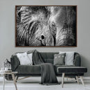 Wild Old Elephant Wall Art Canvas Print