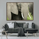 Wild Elephant Wall Art Canvas Print by MyGreatCanvas | Canvas Wall Art Prints | Photo Prints & Wall Decor
