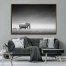 Elephand and Zebra Wall Art Canvas Print, Modern Artwork