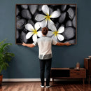 Plumeria Frangipani Black Stone Canvas | White Flower Spa by MyGreatCanvas | Canvas Wall Art Prints | Photo Prints & Wall Decor