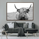 Newfoundland Cow Art Wall Art, Black White Cow Art Wall Art