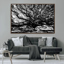 Mighty Angel Oak Wall Art | Angel Oak Tree Art Print by MyGreatCanvas | Canvas Wall Art Prints | Photo Prints & Wall Decor