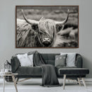 Cow Focus Canvas Wall Art Print by MyGreatCanvas | Canvas Wall Art Prints | Photo Prints & Wall Decor