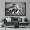 King Forest Lion Wall Art Canvas Print – Framed Majestic by MyGreatCanvas | Canvas Wall Art Prints | Photo Prints & Wall Decor