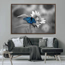 Blue Butterfly Black and White Canvas Wall Art by MyGreatCanvas | Canvas Wall Art Prints | Photo Prints & Wall Decor