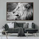 Lion Wall Art Canvas Print – Framed Majestic Wildlife by MyGreatCanvas | Canvas Wall Art Prints | Photo Prints & Wall Decor