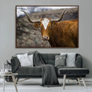 Texas Longhorn Canvas Wall Art - Longhorn Steer Canvas Wall by MyGreatCanvas | Canvas Wall Art Prints | Photo Prints & Wall Decor
