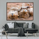Lion Pair Wall Art Canvas Print – Framed Wildlife Scene with