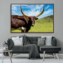Longhorn and Cow Wall Art, Country Cow Wall Decor Canvas by MyGreatCanvas | Canvas Wall Art Prints | Photo Prints & Wall Decor