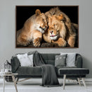 Lion and Lioness Wall Art Canvas Print – Framed African